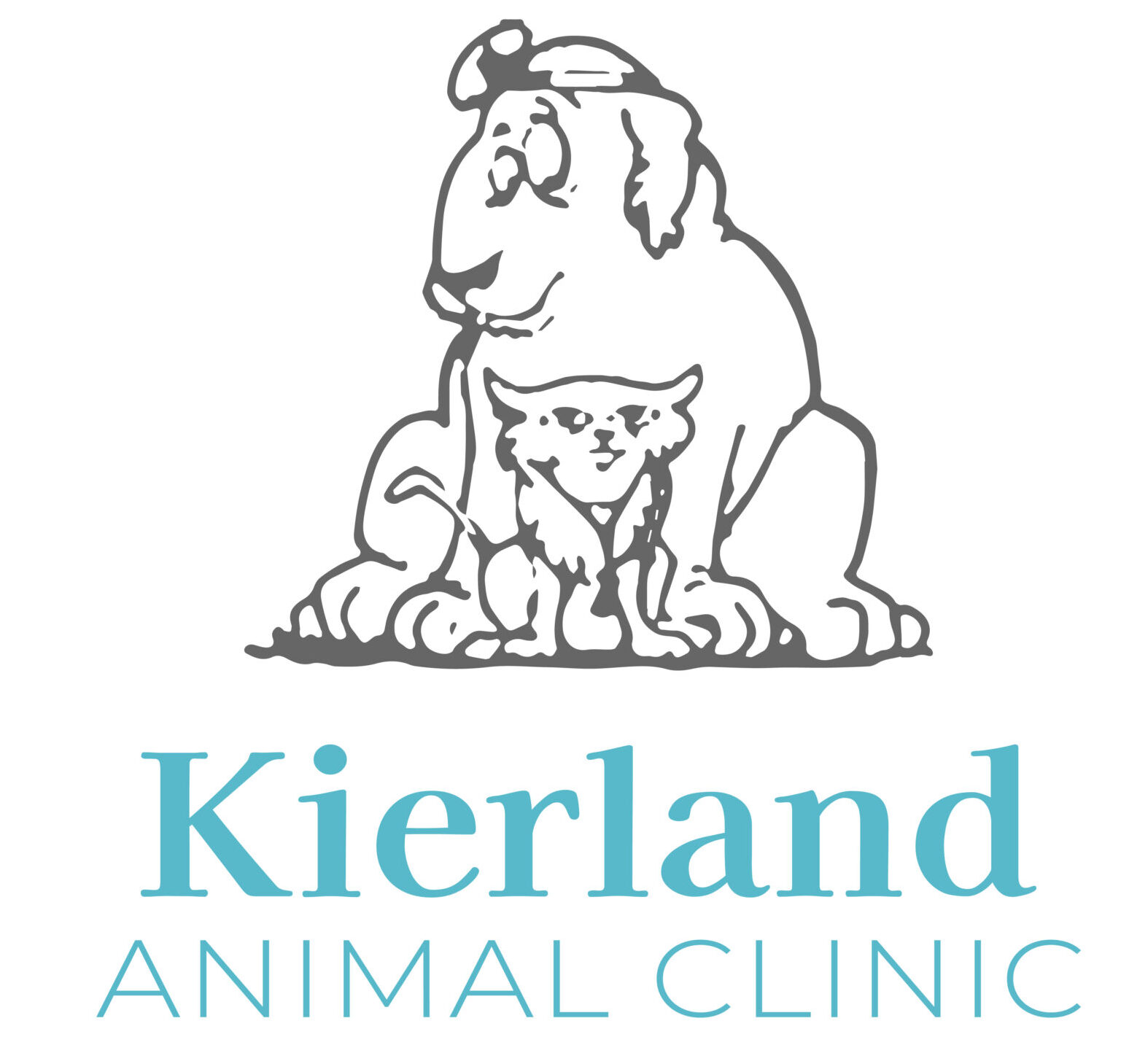Best Vet In Scottsdale, AZ 85254 | Kierland Animal Clinic