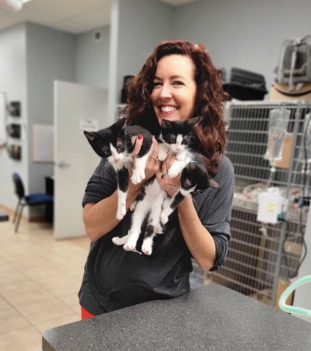 dr. gibson with 3 kittens
